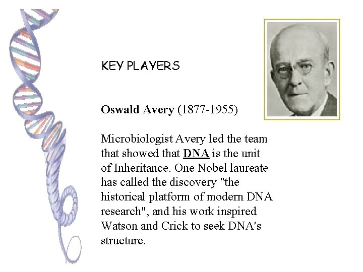 KEY PLAYERS Oswald Avery (1877 -1955) Microbiologist Avery led the team that showed that