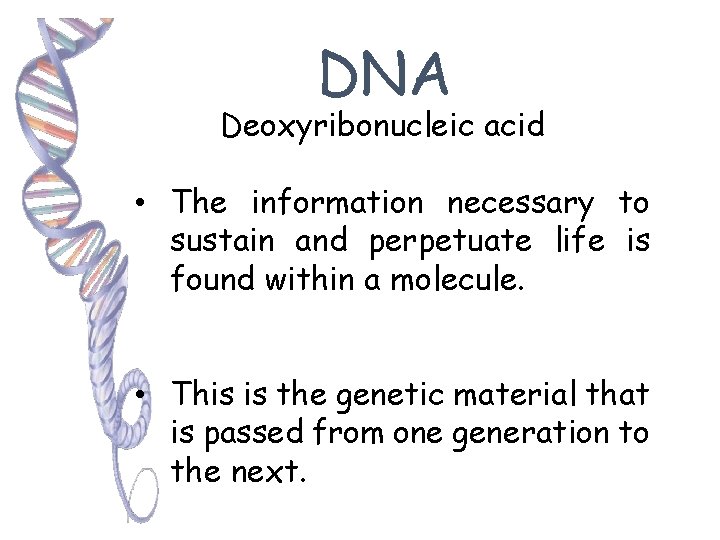 DNA Deoxyribonucleic acid • The information necessary to sustain and perpetuate life is found