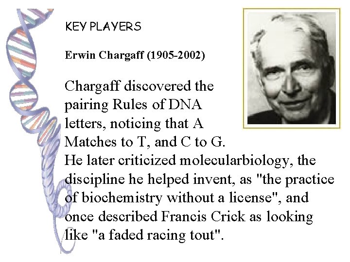 KEY PLAYERS Erwin Chargaff (1905 -2002) Chargaff discovered the pairing Rules of DNA letters,