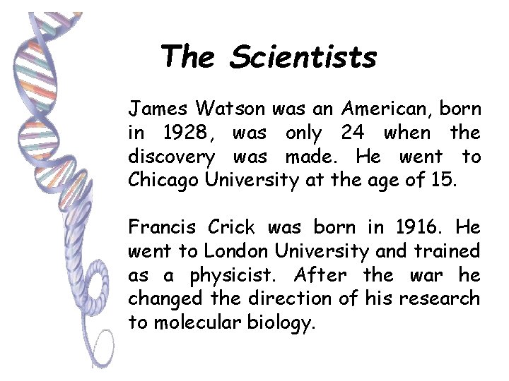 The Scientists James Watson was an American, born in 1928, was only 24 when