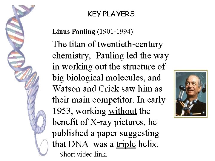 KEY PLAYERS Linus Pauling (1901 -1994) The titan of twentieth-century chemistry, Pauling led the