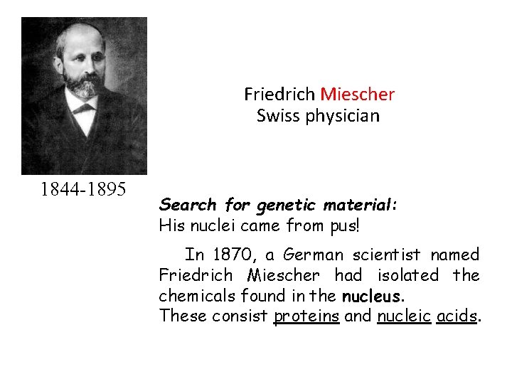 Friedrich Miescher Swiss physician 1844 -1895 Search for genetic material: His nuclei came from