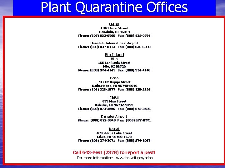 Plant Quarantine Offices Oahu 1849 Auiki Street Honolulu, HI 96819 Phone: (808) 832 -0566 Plant Quarantine Offices Oahu 1849 Auiki Street Honolulu, HI 96819 Phone: (808) 832 -0566