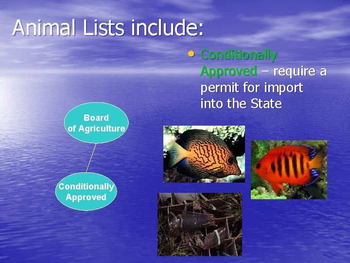Animal Lists include: • Conditionally Approved – require a permit for import into the