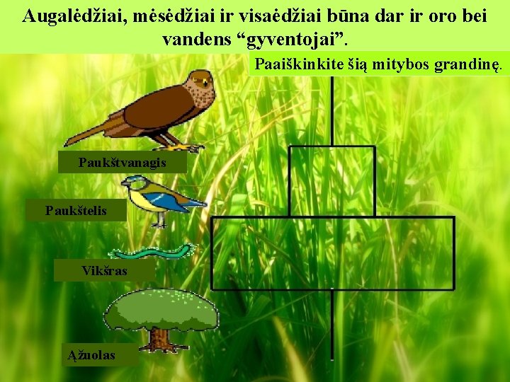 Augalėdžiai, mėsėdžiai ir visaėdžiai būna dar ir oro bei vandens “gyventojai”. Paaiškinkite šią mitybos