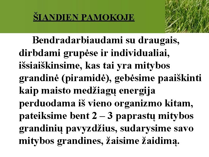 ŠIANDIEN PAMOKOJE Bendradarbiaudami su draugais, dirbdami grupėse ir individualiai, išsiaiškinsime, kas tai yra mitybos