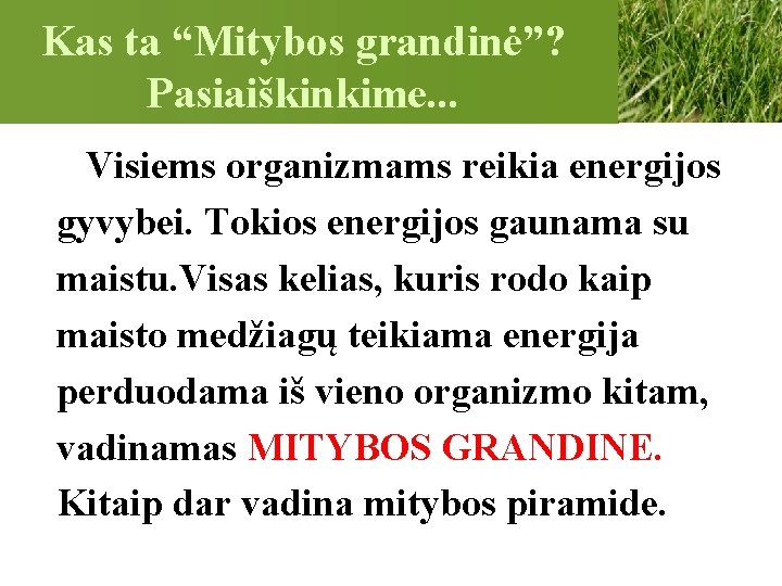 Kas ta “Mitybos grandinė”? Pasiaiškinkime. . . Visiems organizmams reikia energijos gyvybei. Tokios energijos