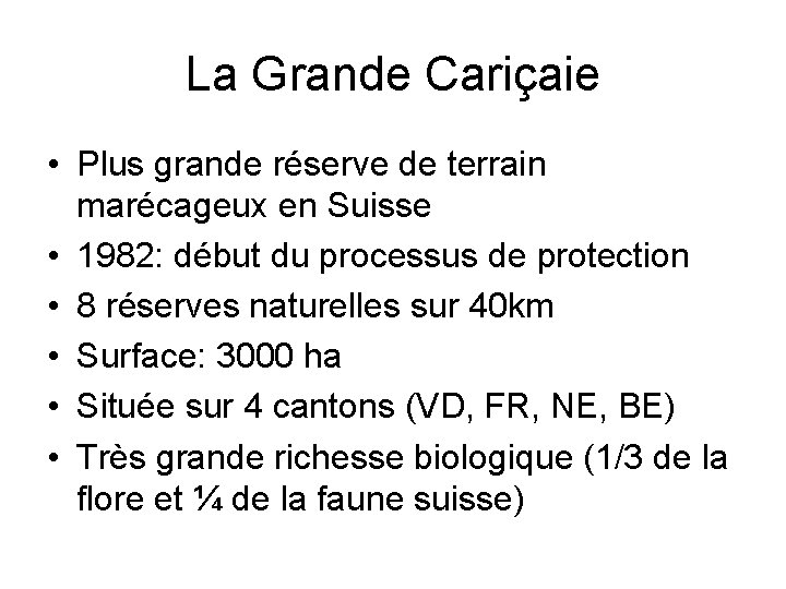 La Grande Cariçaie • Plus grande réserve de terrain marécageux en Suisse • 1982: