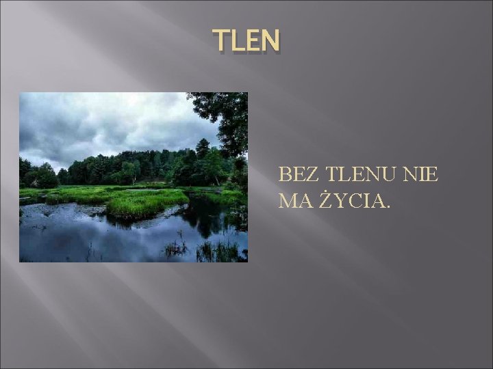 TLEN BEZ TLENU NIE MA ŻYCIA. 
