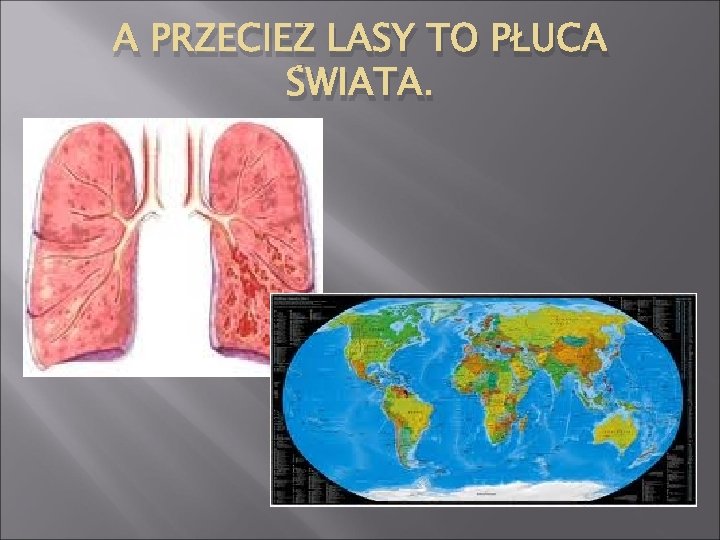 A PRZECIEŻ LASY TO PŁUCA ŚWIATA. 