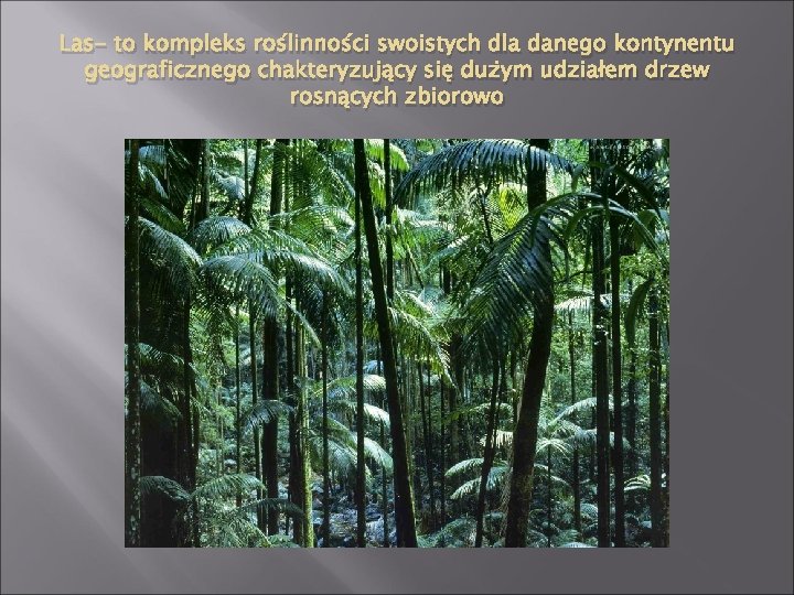 Las- to kompleks roślinności swoistych dla danego kontynentu geograficznego chakteryzujący się dużym udziałem drzew