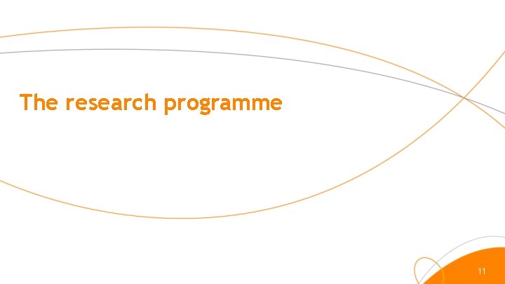 The research programme 11 