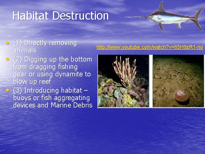 Habitat Destruction • (1) Directly removing • • animals (2) Digging up the bottom