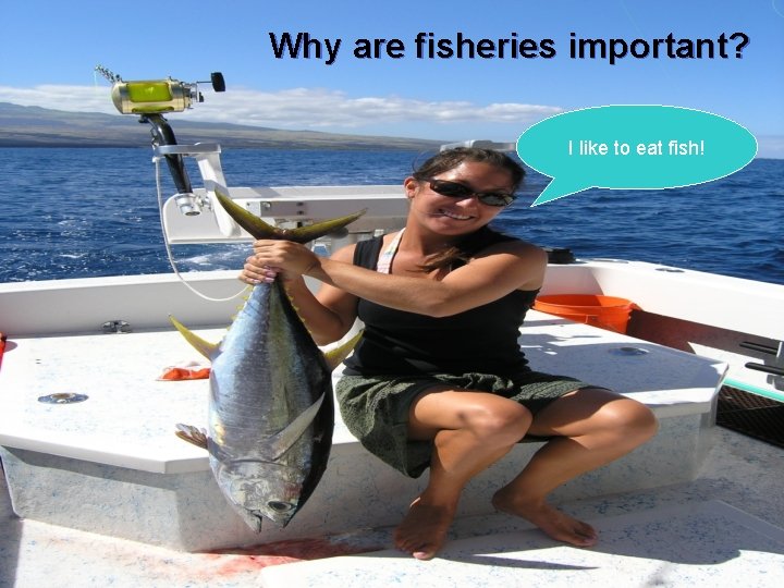 Why are fisheries important? I like to eat fish! 