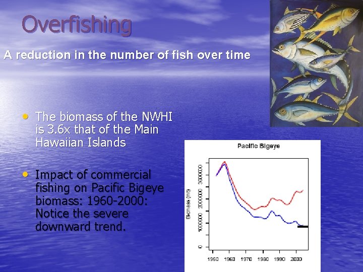 Overfishing A reduction in the number of fish over time • The biomass of