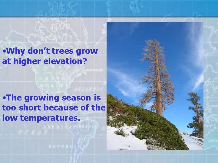  • Why don’t trees grow at higher elevation? • The growing season is