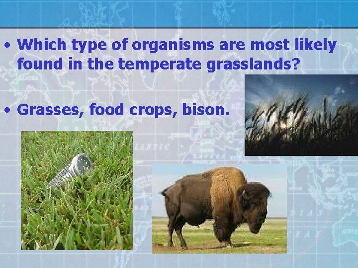  • Which type of organisms are most likely found in the temperate grasslands?