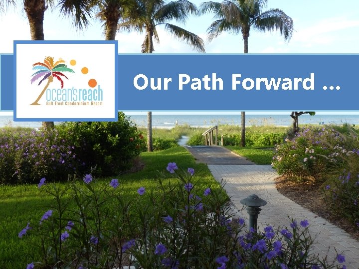 Our Path Forward … 