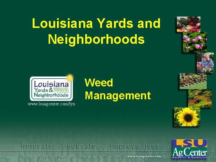 Louisiana Yards and Neighborhoods www. lsuagcenter. com/lyn Weed Management 
