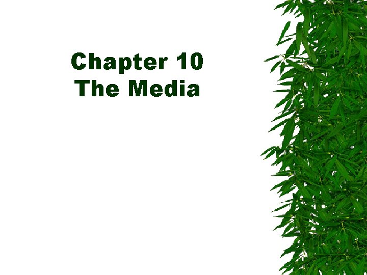 Chapter 10 The Media Chapter 10 The Media
