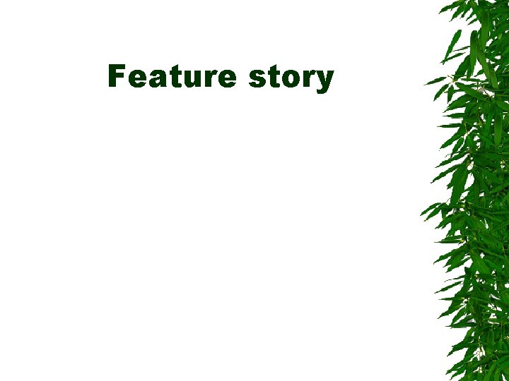 Feature story Feature story