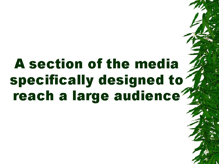 A section of the media specifically designed to reach a large audience A section of the media specifically designed to reach a large audience
