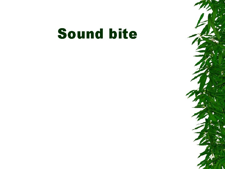 Sound bite Sound bite