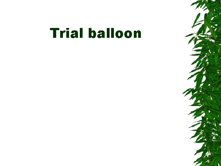 Trial balloon Trial balloon