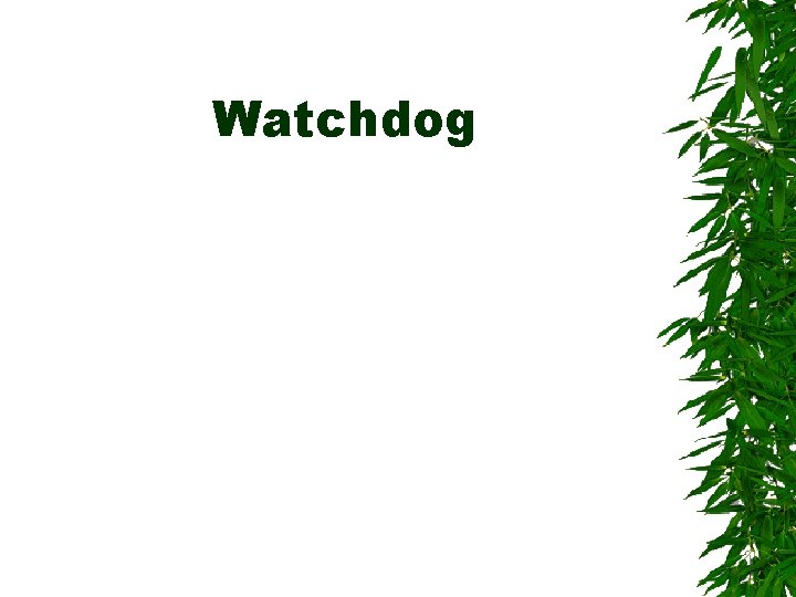 Watchdog Watchdog