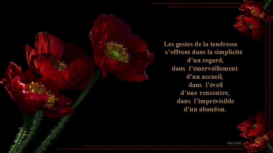 Les gestes de la tendresse s’offrent dans la simplicité d’un regard, dans l’émerveillement d’un