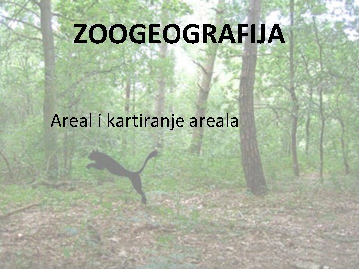 ZOOGEOGRAFIJA Areal i kartiranje areala 