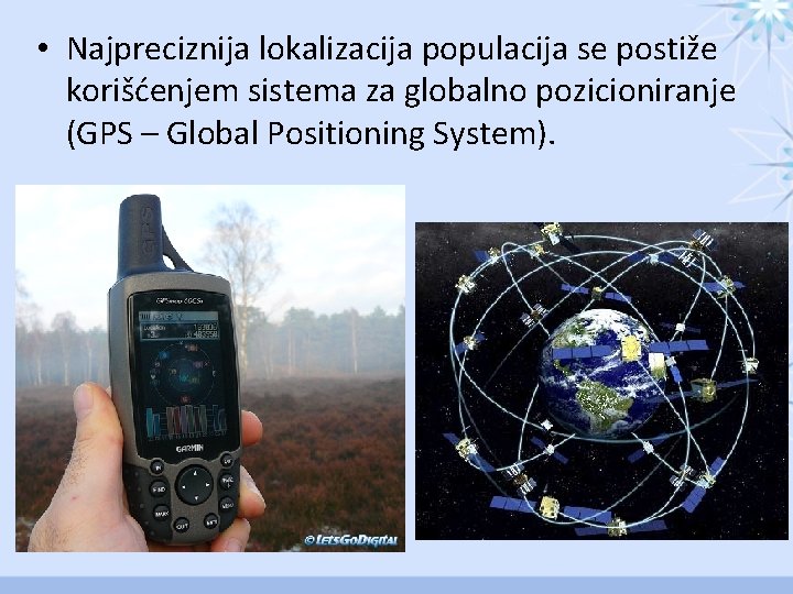  • Najpreciznija lokalizacija populacija se postiže korišćenjem sistema za globalno pozicioniranje (GPS –