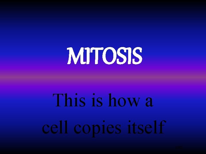 MITOSIS This is how a cell copies itself mkh 