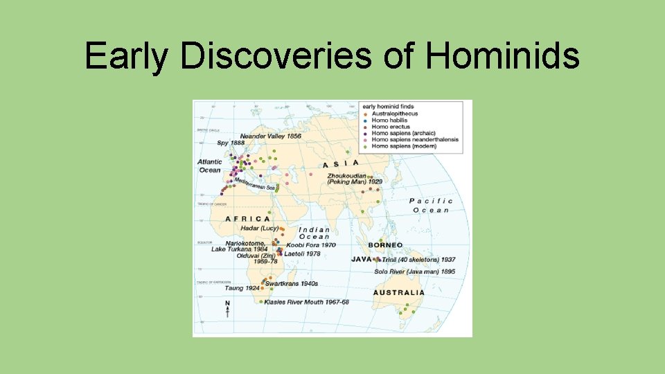 Early Discoveries of Hominids 