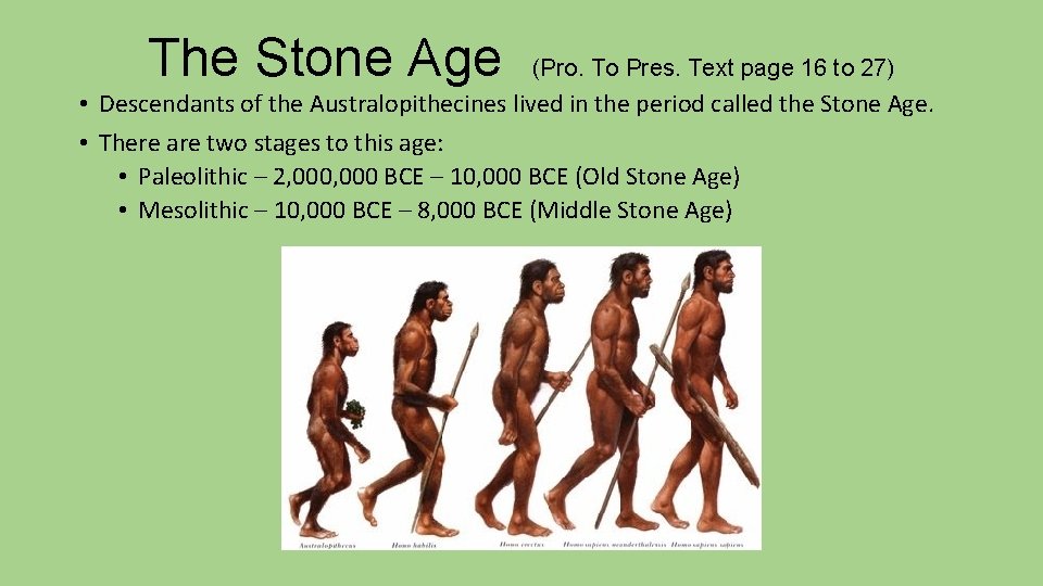 The Stone Age (Pro. To Pres. Text page 16 to 27) • Descendants of