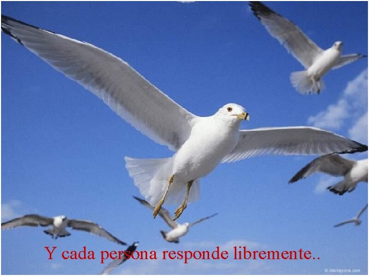 Y cada persona responde libremente. . 