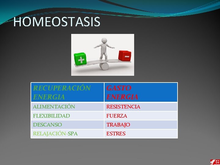 HOMEOSTASIS RECUPERACIÓN ENERGIA GASTO ENERGIA ALIMENTACIÓN RESISTENCIA FLEXIBILIDAD FUERZA DESCANSO TRABAJO RELAJACIÓN-SPA ESTRES 