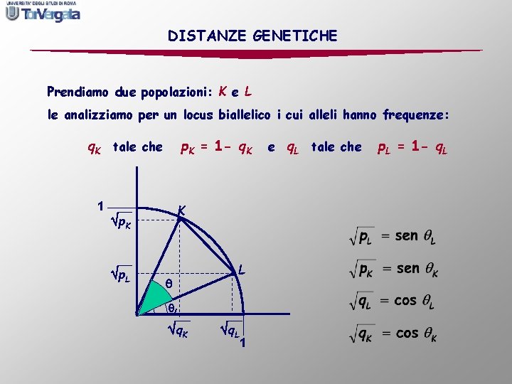DISTANZE GENETICHE Prendiamo due popolazioni: K e L le analizziamo per un locus biallelico