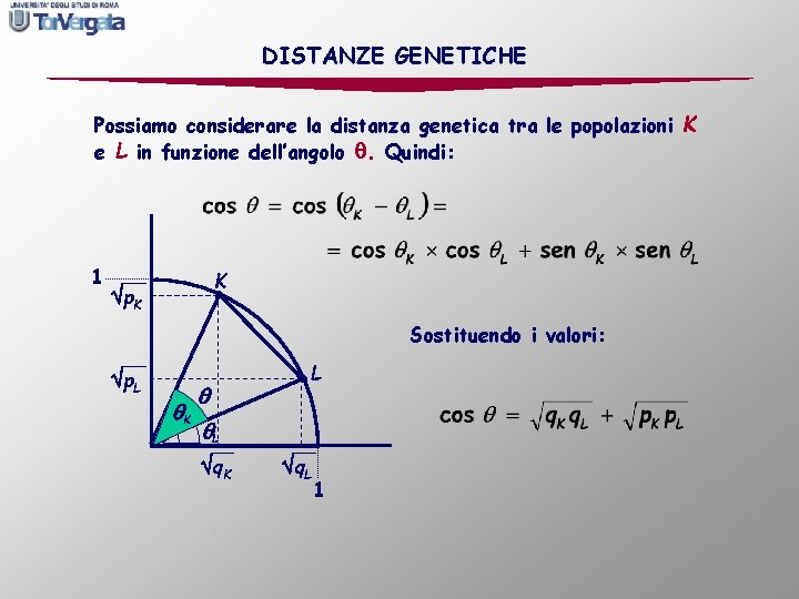 DISTANZE GENETICHE Possiamo considerare la distanza genetica tra le popolazioni K e L in