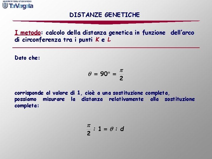 DISTANZE GENETICHE I metodo: calcolo della distanza genetica in funzione dell’arco di circonferenza tra