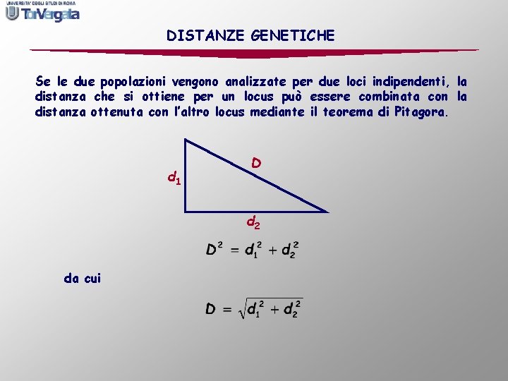 DISTANZE GENETICHE Se le due popolazioni vengono analizzate per due loci indipendenti, la distanza