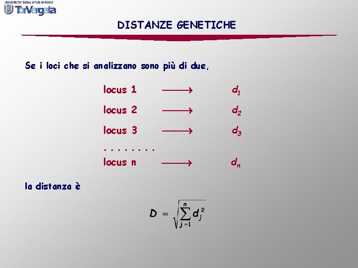DISTANZE GENETICHE Se i loci che si analizzano sono più di due, locus 1