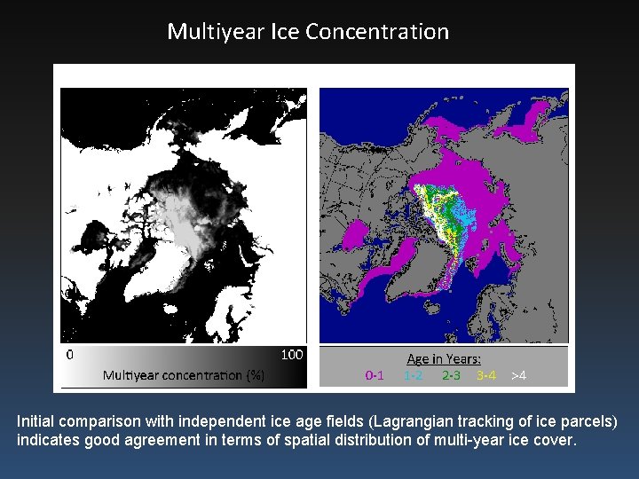 Multiyear Ice Concentration Initial comparison with independent ice age fields (Lagrangian tracking of ice