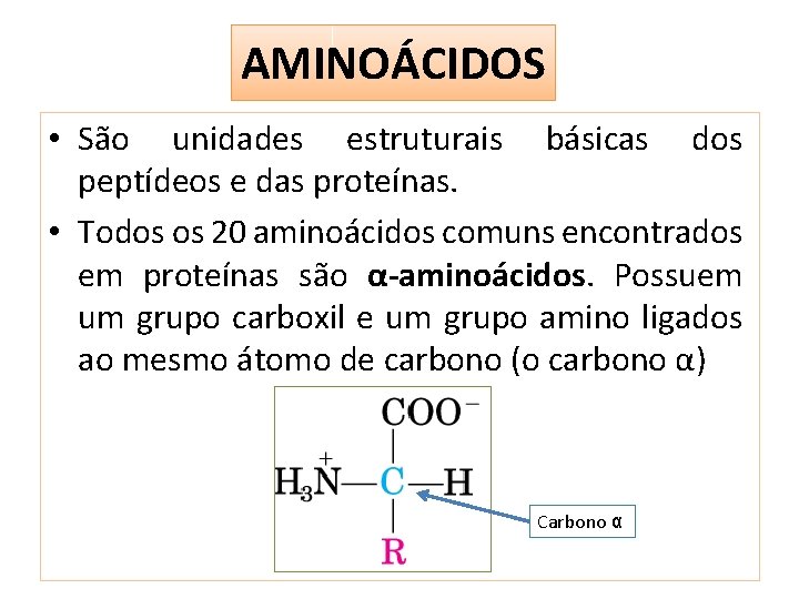 AMINOÁCIDOS • São unidades estruturais básicas dos peptídeos e das proteínas. • Todos os
