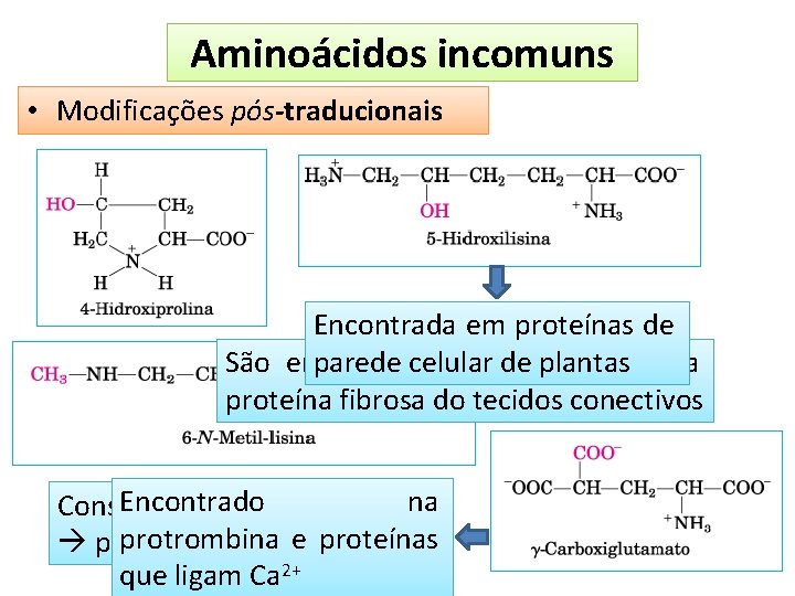 Aminoácidos incomuns • Modificações pós-traducionais Encontrada em proteínas de parede celular plantas uma São