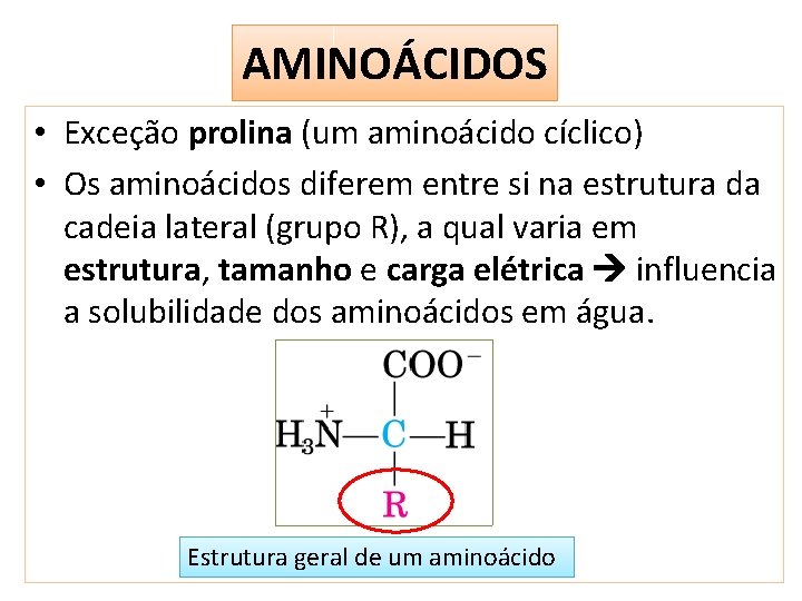 AMINOÁCIDOS • Exceção prolina (um aminoácido cíclico) • Os aminoácidos diferem entre si na