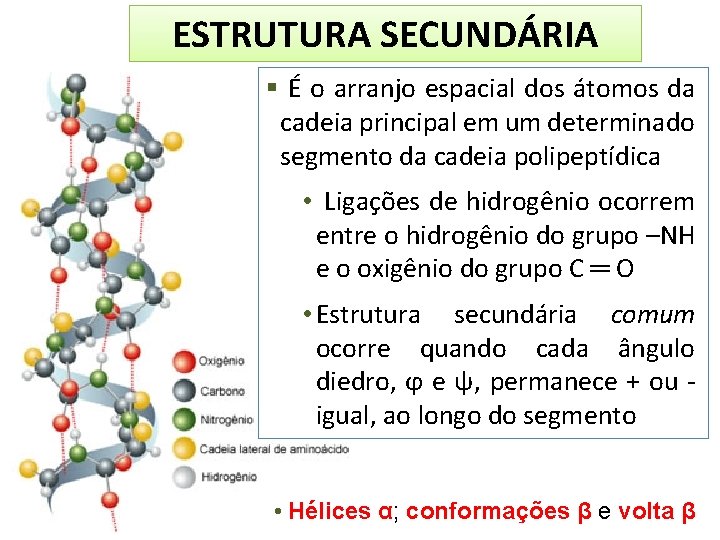 ESTRUTURA SECUNDÁRIA É o arranjo espacial dos átomos da cadeia principal em um determinado