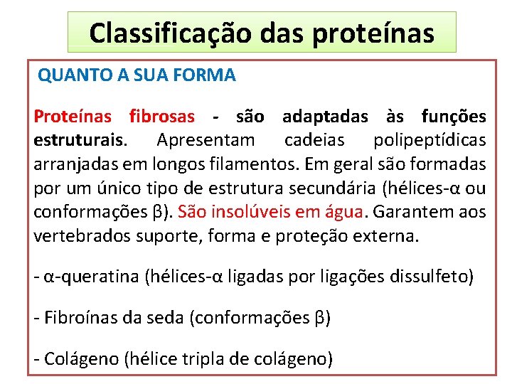 Classificação das proteínas QUANTO A SUA FORMA Proteínas fibrosas - são adaptadas às funções