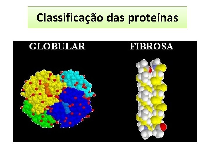 Classificação das proteínas 