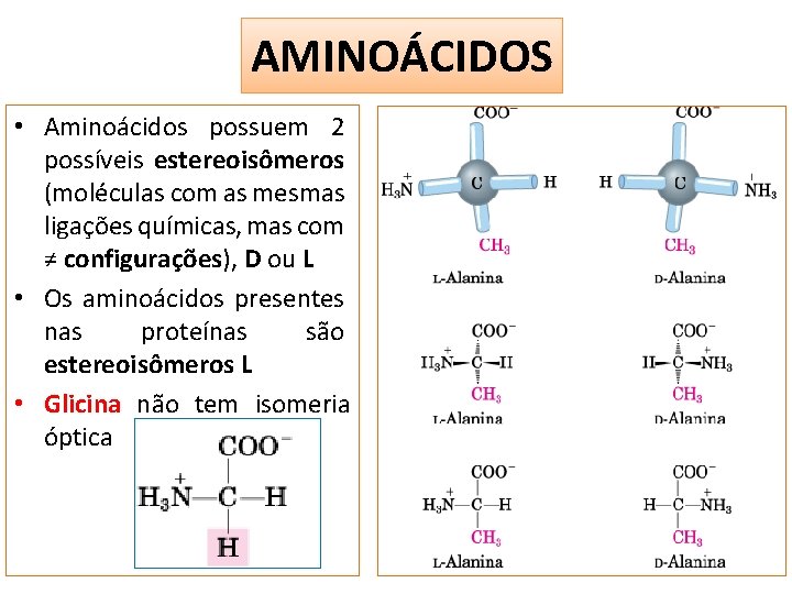 AMINOÁCIDOS • Aminoácidos possuem 2 possíveis estereoisômeros (moléculas com as mesmas ligações químicas, mas